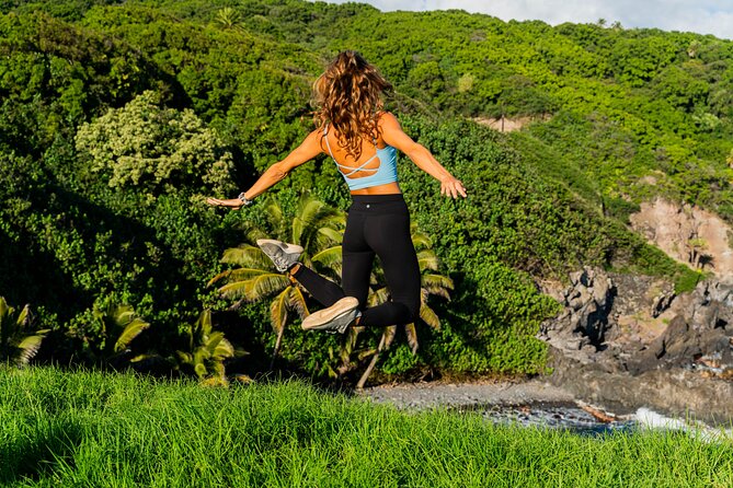 VIP Private Full-Day Road to Hana Tour from Lahaina-Kapalua - Key things that make this VIP Hana tour worth considering