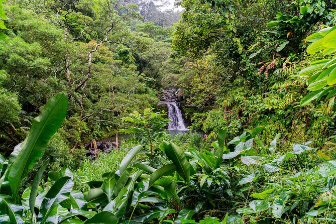VIP Private Full-Day Road to Hana Tour from Lahaina-Kapalua - Getting started around Paia and Ho’okipa: where the day sets its tone