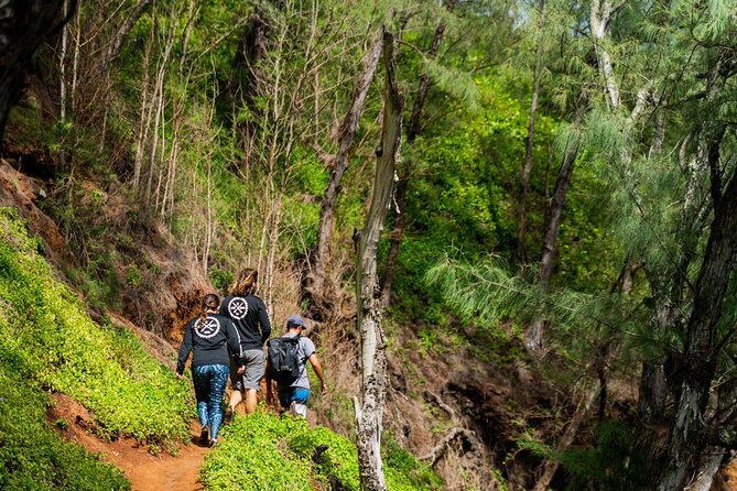 VIP Private Full-Day Road to Hana Tour from Lahaina-Kapalua - Ke‘anae to Pua‘a Ka‘a: banana bread, lava fields, and a waterfall year-round