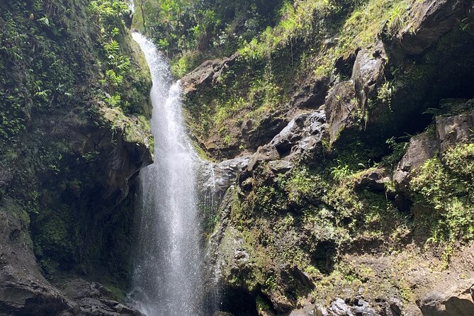 VIP Private Full-Day Road to Hana Tour from Lahaina-Kapalua - Hana Farms and Wailua Falls: food and a big waterfall close to the middle of the day