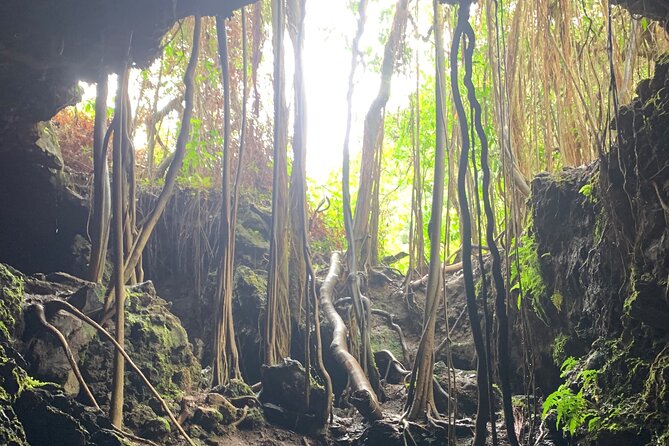VIP Private Full-Day Road to Hana Tour from Lahaina-Kapalua - O‘heo Gulch closure: the stop you should expect to be adjusted