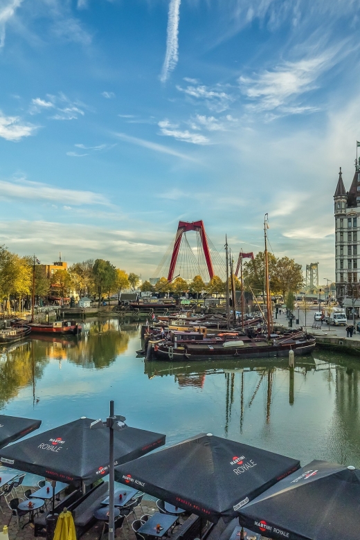 VIP Private Full Day Tour of the Netherlands - Rotterdam and Delfshaven: modern port power plus older corners