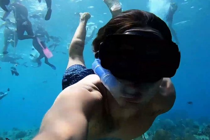 VIP Private Glass Bottom Boat and Snorkeling, 3 Reefs in Cozumel - Stops 2 and 3: Paraiso Reef (shallow plus deep sections)
