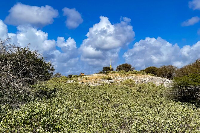 VIP Private North Island Tour - Stop 2: 1000 Steps (Counting, Views, and Klein Bonaire)