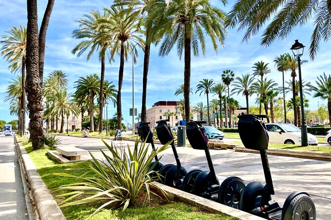 VIP Private Segway Tour of Palma - La Lonja and Parc de la Mar: Gothic Lines to Sea Views