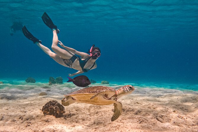 VIP Private Snorkeling Tour with Underwater Photos - Key reasons this VIP snorkeling tour works so well