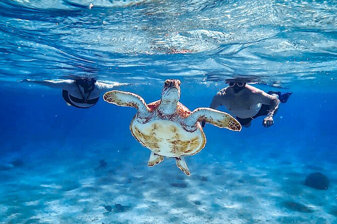 VIP Private Snorkeling Tour with Underwater Photos - Who this tour fits best on Bonaire (and who should think twice)