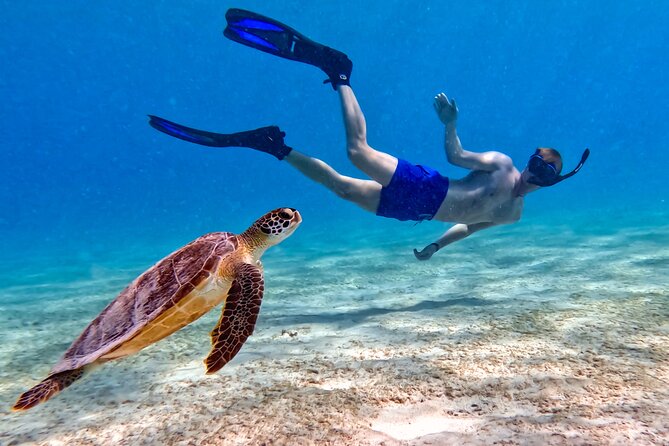 VIP Private Snorkeling Tour with Underwater Photos - Price and Value: Is $155 per person a smart buy?