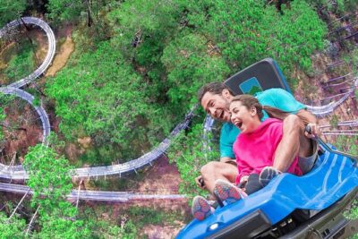 VIP Private Tour in Dalat City and Waterfall - Getting There: Pickup, Private Transport, and a Real Time Budget