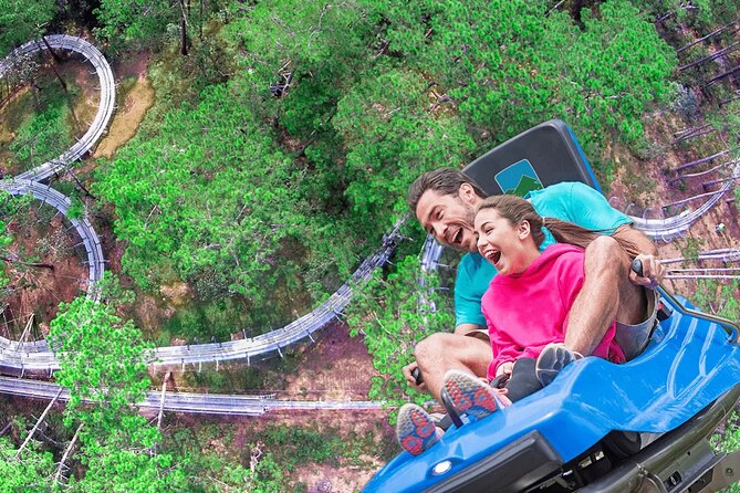 VIP Private Tour in Dalat City and Waterfall - Getting There: Pickup, Private Transport, and a Real Time Budget