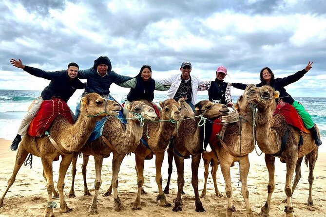 Vip Private Transfer From Airport / Port to Tangier or Vice Versa - Value for Money: What You’re Really Paying for at $52.29 per Person