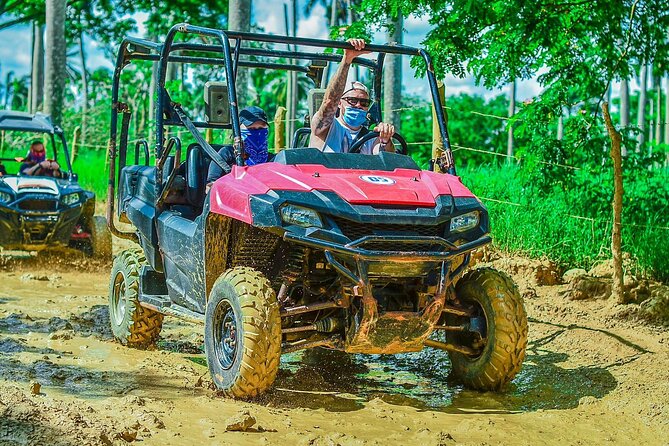 Vip Punta cana Buggies - Tours Point Ranch: coffee, cacao, and tobacco in a working setting