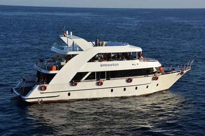 VIP Ras Mohamed and White Island boat trip - Key highlights at a glance