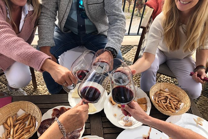 VIP Ronda Wine Tour and Tasting and Gourmet Lunch Experience with Winemaker - Key things to know before you go