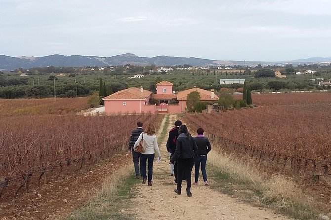VIP Ronda Wine Tour and Tasting and Gourmet Lunch Experience with Winemaker - Private Transportation + Personal Wine Guide: Where the Money Goes