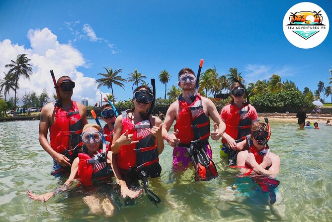 VIP San Juan: Snorkeling Tour with Turtles with Free Videos - San Juan Turtle Snorkeling for $80: What you’re really getting