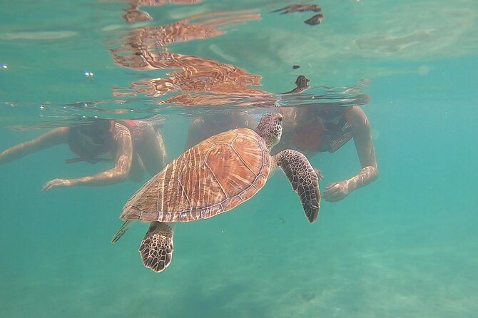 VIP San Juan: Snorkeling Tour with Turtles with Free Videos - The shore start: check-in, gear, and getting comfortable fast