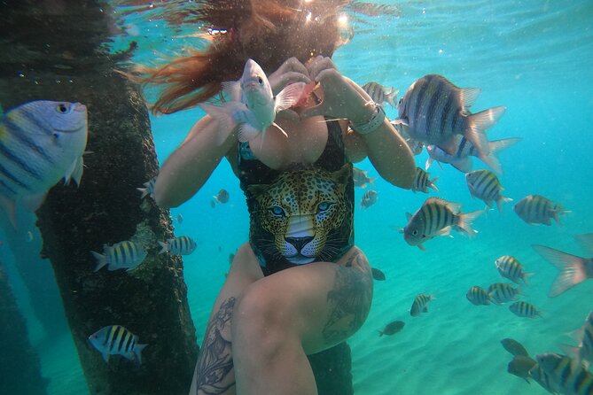 VIP San Juan: Snorkeling Tour with Turtles with Free Videos - Free videos: the part that turns snorkeling into a souvenir, not just a memory