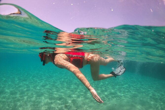 VIP San Juan: Snorkeling Tour with Turtles with Free Videos - What’s included (and what you need to bring) for an easy day