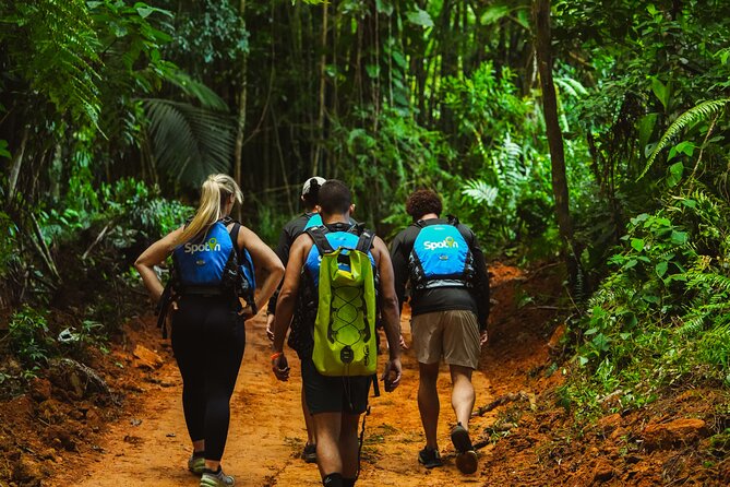 VIP Small Group El Yunque Rainforest Adventure - Why This El Yunque Tour Feels VIP (and why you should care)