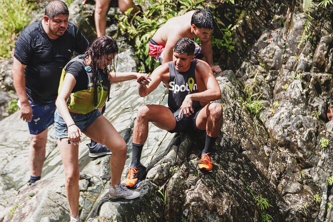 VIP Small Group El Yunque Rainforest Adventure - Price and value: is $48 a good deal for El Yunque?