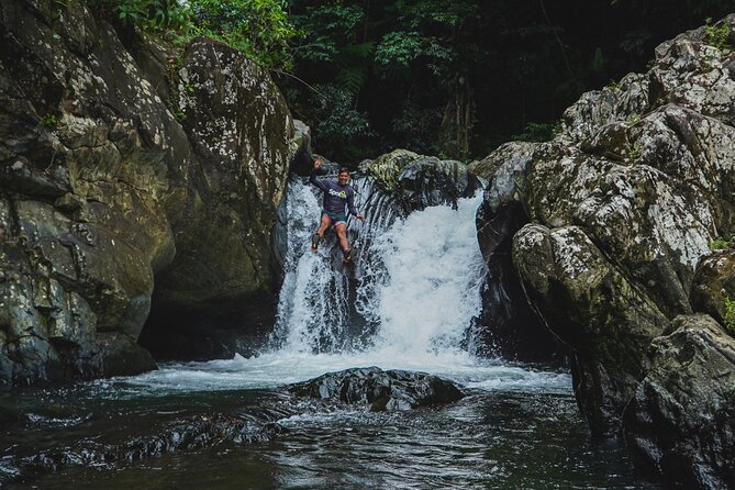 VIP Small Group El Yunque Rainforest Adventure - Who this tour fits best: families, couples, and first-time El Yunque fans