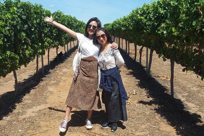 VIP Swan Valley Wine Tour - Premium Small Group Wine & Gourmet Experience - Key Things That Make This Swan Valley Tour Worth It