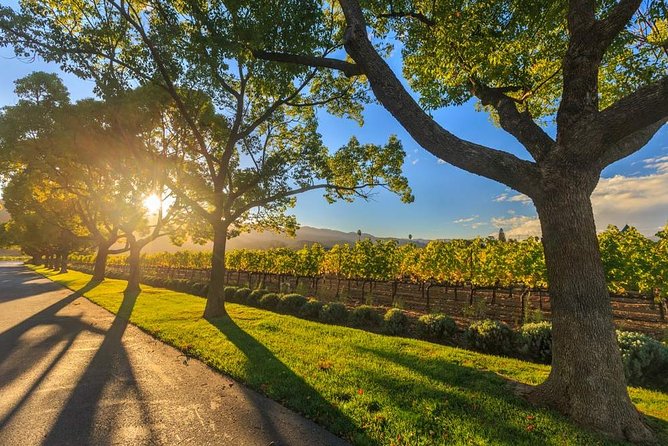 VIP Swan Valley Wine Tour - Premium Small Group Wine & Gourmet Experience - Why This Swan Valley Tour Feels Premium Without the Fuss