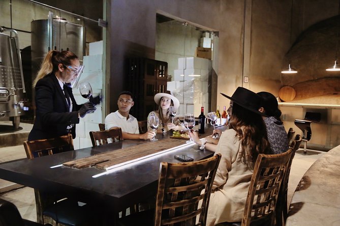 VIP Tasting: Wines from Rondo del Valle in an Underground Cellar - Underground Cellar Reality Check at Rondo del Valle