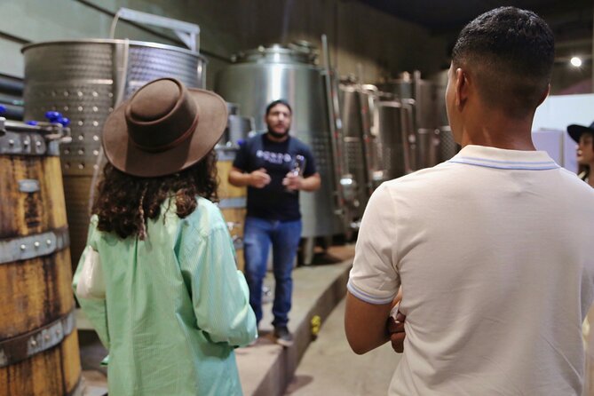 VIP Tasting: Wines from Rondo del Valle in an Underground Cellar - The 90-Minute Flow: From Production Walk to VIP Tasting Room