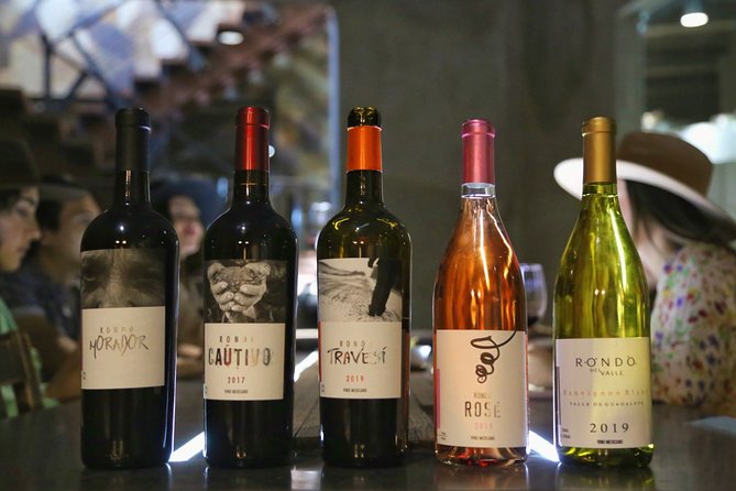 VIP Tasting: Wines from Rondo del Valle in an Underground Cellar - Price and Value: Is $65 Worth It in Ensenada?