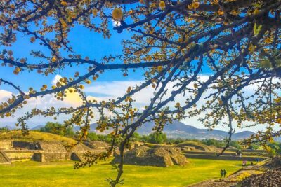 VIP Teotihuacan & Guadalupe Shrine Tour: A Journey Through Time - Price and what $445 really covers