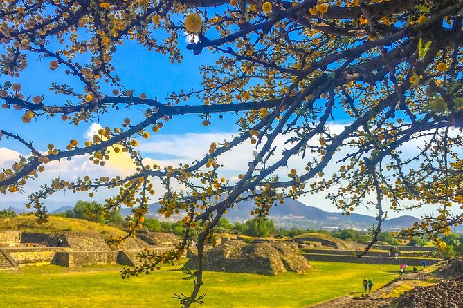 VIP Teotihuacan & Guadalupe Shrine Tour: A Journey Through Time - Price and what $445 really covers
