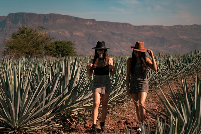 Vip Tequila Experience - The Vehicle Comfort: VIP Touches That Actually Matter
