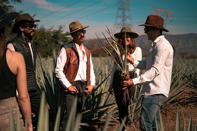 Vip Tequila Experience - Logistics That Make the Day Easier (Not Harder)