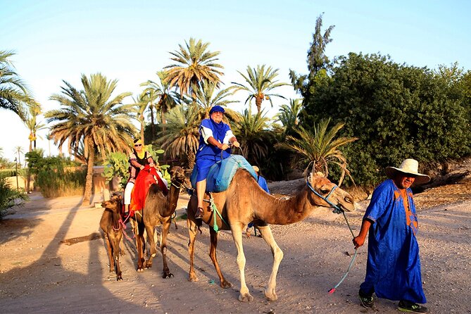 VIP tour Casablanca to Marrakech: Luxury Day of History & Culture - Souk Semmarine: shopping time in the heart of the Medina