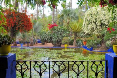 VIP tour Casablanca to Marrakech: Luxury Day of History & Culture - Bahia Palace: stucco, mosaics, and how to not miss the best parts