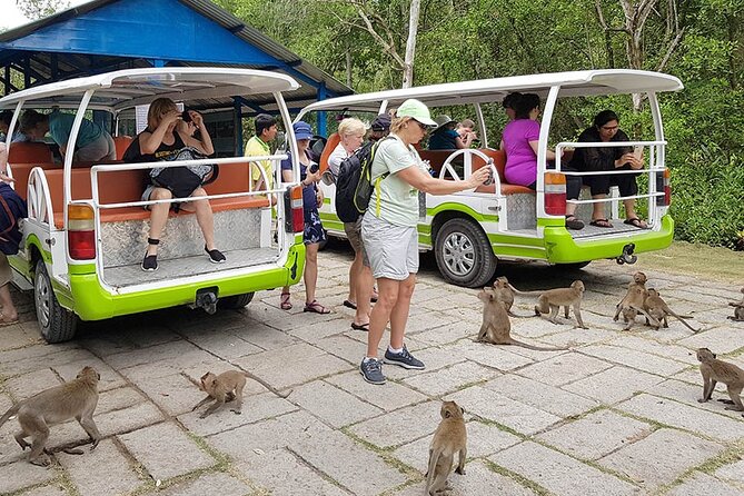 VIP Tour in Vam Sat: Can Gio Mangrove Forest by SpeedBoat - Inside the Can Gio Biosphere Reserve: Mangrove habitat and wildlife targets