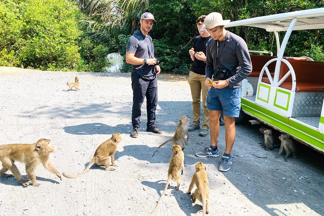 VIP Tour in Vam Sat: Can Gio Mangrove Forest by SpeedBoat - What’s really included: lunch, snacks, and the food rhythm of the day