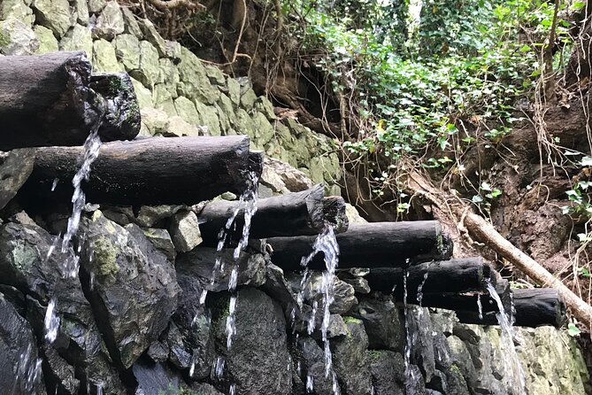 VIP tour of La Gomera from Tenerife - VIP format: why a small group really matters on La Gomera