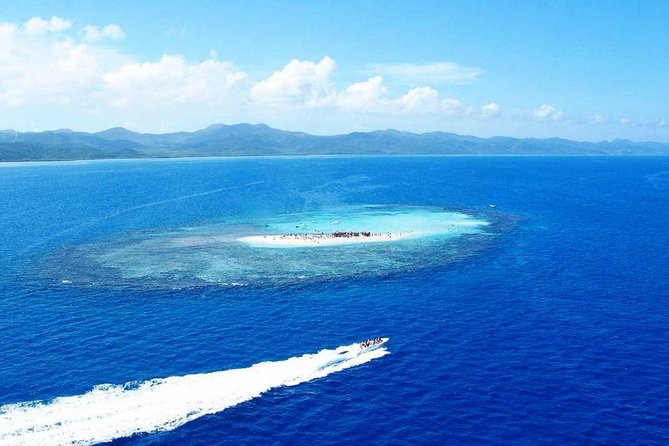 VIP tour to Paradise Island & The Mangroves - Why This VIP Schedule Beats the Crowds on Cayo Arena