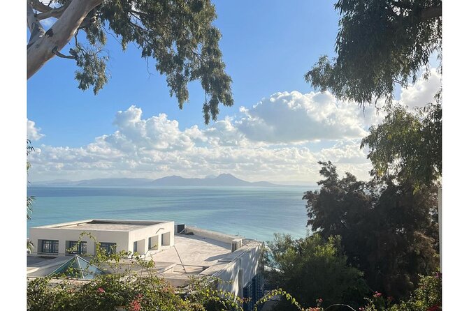 VIP Tour: Tunis Medina/Bardo, Sidi Bou Said, Carthage |PICKUP ALL - Sidi Bou Said: blue-and-white streets, cliff views, and time for real wandering