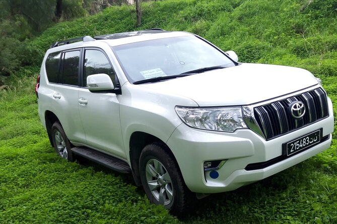 VIP transfer between Tunis Carthage Airport and a hotel in Tunis - Key Highlights You’ll Actually Care About