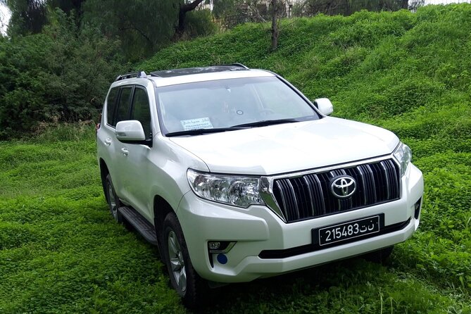 VIP transfer between Tunis Carthage Airport and a hotel in Tunis - Landing At Tunis Carthage Airport: Finding Your Driver Fast