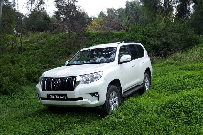 VIP transfer between Tunis Carthage Airport and a hotel in Tunis - When the Kids, Bags, and Work Trip Matter