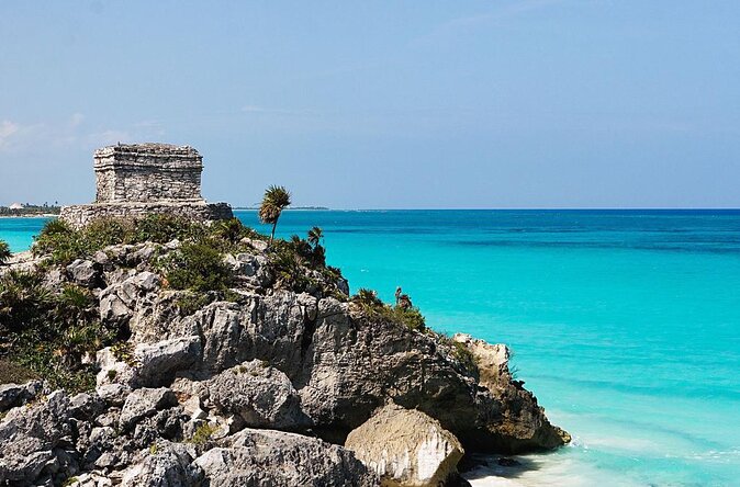 VIP Tulum & Turtles Private Tour - Key highlights that matter before you book