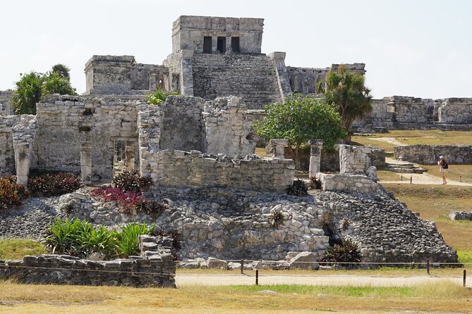 VIP Tulum & Turtles Private Tour - Price and value: is $205 per person worth it?