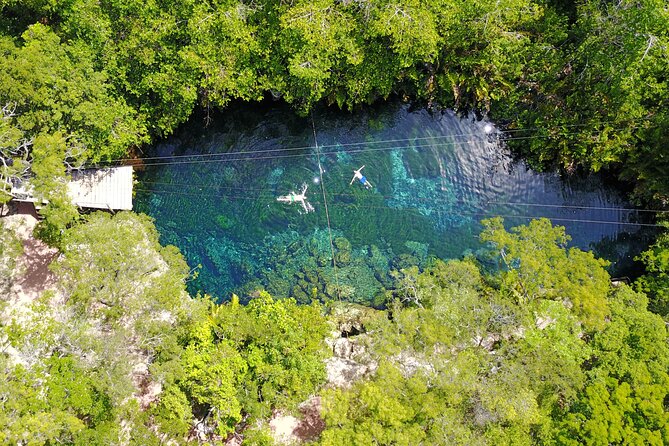 VIP Tulum & Turtles Private Tour - Should you book the VIP Tulum & Turtles Private Tour?