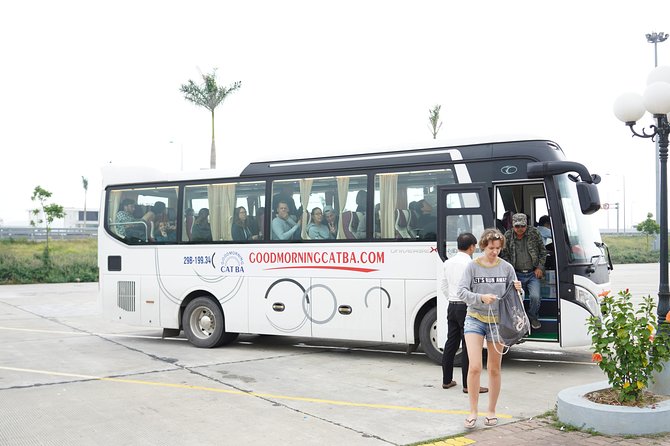 VIP VAN : Hanoi to cat ba or Return by Luxury van - Who should book this transfer (and who should think twice)