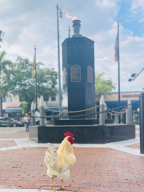 VIP Walking Tour of Little Havana - Why This Little Havana Walk Feels Personal